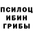Псилоцибиновые грибы ЛСД ShahJacobsen