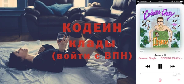 дмт Абаза