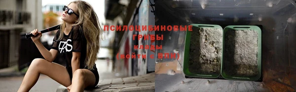 дмт Абаза