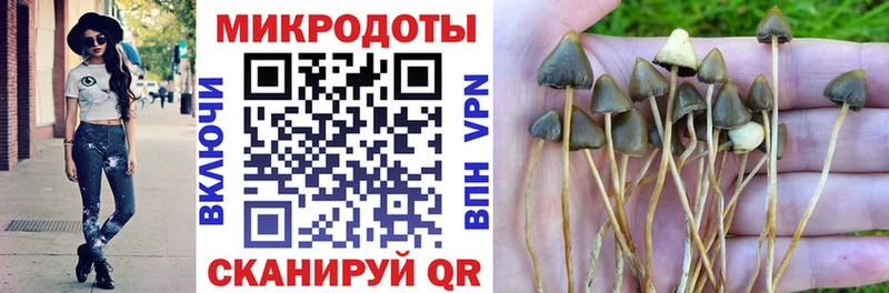 Галлюциногенные грибы Psilocybe  что такое   ссылка на мегу   Фокино 